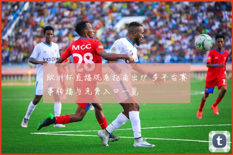 欧洲杯直播观看指南出炉 多平台赛事转播与免费入口一览