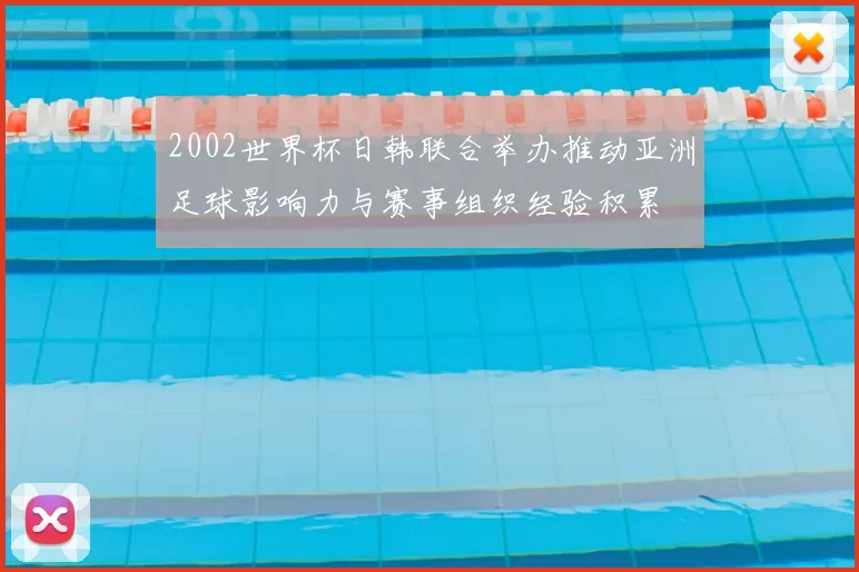 2002世界杯日韩联合举办推动亚洲足球影响力与赛事组织经验积累