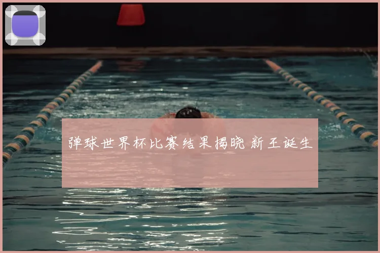 弹球世界杯比赛结果揭晓 新王诞生