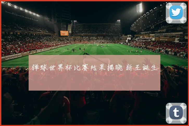 弹球世界杯比赛结果揭晓 新王诞生