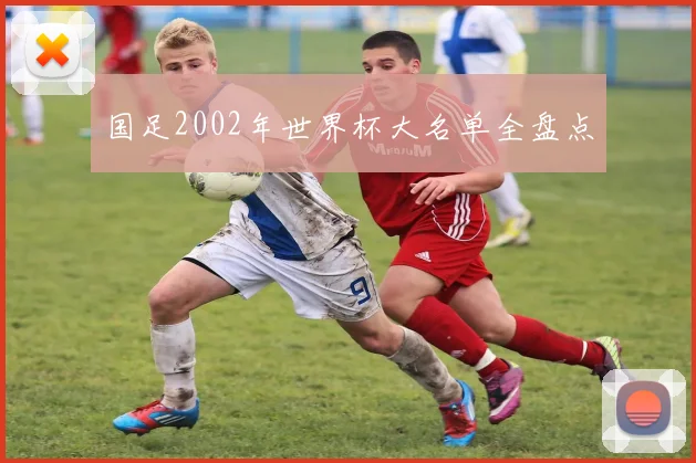 国足2002年世界杯大名单全盘点